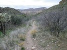 photo thumbnail #13