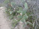 photo thumbnail #15