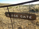 photo thumbnail #6
