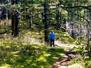 photo thumbnail #6