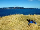 photo thumbnail #12