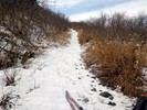 photo thumbnail #5
