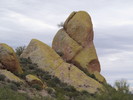 photo thumbnail #4
