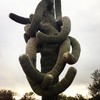 photo thumbnail #9