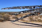 photo thumbnail #4