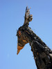photo thumbnail #7
