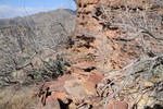 photo thumbnail #4
