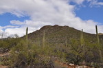 photo thumbnail #5