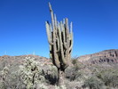 photo thumbnail #3