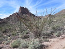 photo thumbnail #9
