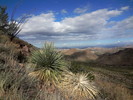 photo thumbnail #1