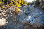 photo thumbnail #11