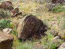 photo thumbnail #5