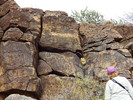 photo thumbnail #7