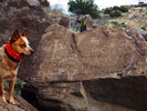 photo thumbnail #10