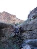 photo thumbnail #6