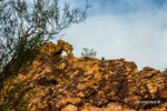 photo thumbnail #7