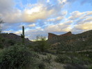 photo thumbnail #2