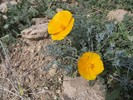 photo thumbnail #10