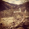 photo thumbnail #10