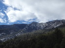 photo thumbnail #7
