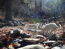 photo thumbnail #15