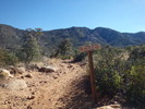 photo thumbnail #10