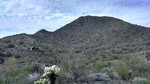 photo thumbnail #6