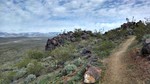 photo thumbnail #9