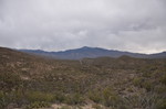 photo thumbnail #1