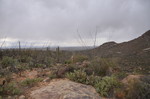photo thumbnail #10