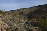 photo thumbnail #6