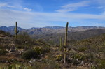 photo thumbnail #8