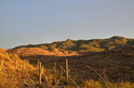 photo thumbnail #11