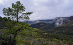 photo thumbnail #4