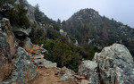 photo thumbnail #10