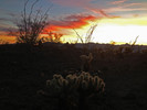 photo thumbnail #2