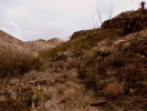 photo thumbnail #7