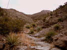 photo thumbnail #12