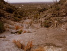 photo thumbnail #13