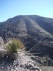 photo thumbnail #12