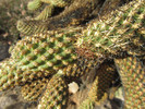 photo thumbnail #2