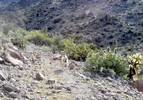 photo thumbnail #7