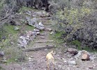 photo thumbnail #13
