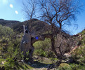 photo thumbnail #14