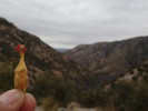 photo thumbnail #9