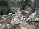 photo thumbnail #10