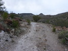 photo thumbnail #6