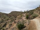 photo thumbnail #10