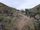 photo thumbnail #12